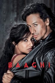Baaghi (2016) Hindi HD Netflix WEB-DL