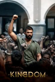 Kingdom (2025) Hindi Clean HDTS