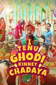 Tenu Ghodi Kinney Chadaya (2025) Punjabi ORG WEB-DL