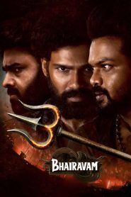 Bhairavam (2025) [Hindi-Telugu] ZEE5 WEB-DL