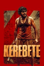 Kerebete (2024) [Hindi-Kannada] AMZN WEB-DL