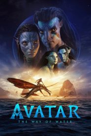 Avatar: The Way of Water (2022) [Hindi-English] Blu-Ray